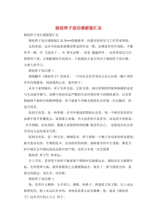 骆驼样子读后感新版汇总