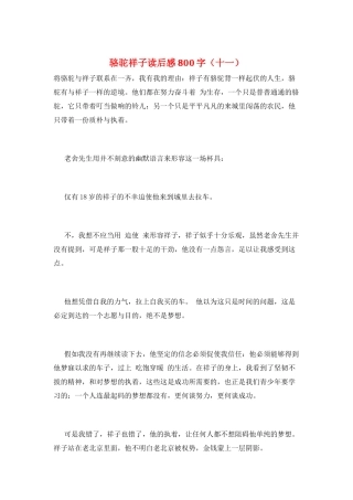 骆驼祥子读后感800字(十一)