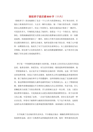 骆驼祥子读后感800字(十六)