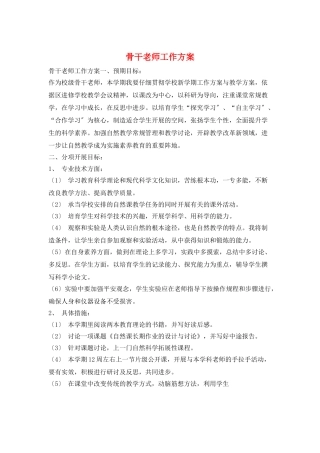 骨干教师工作计划