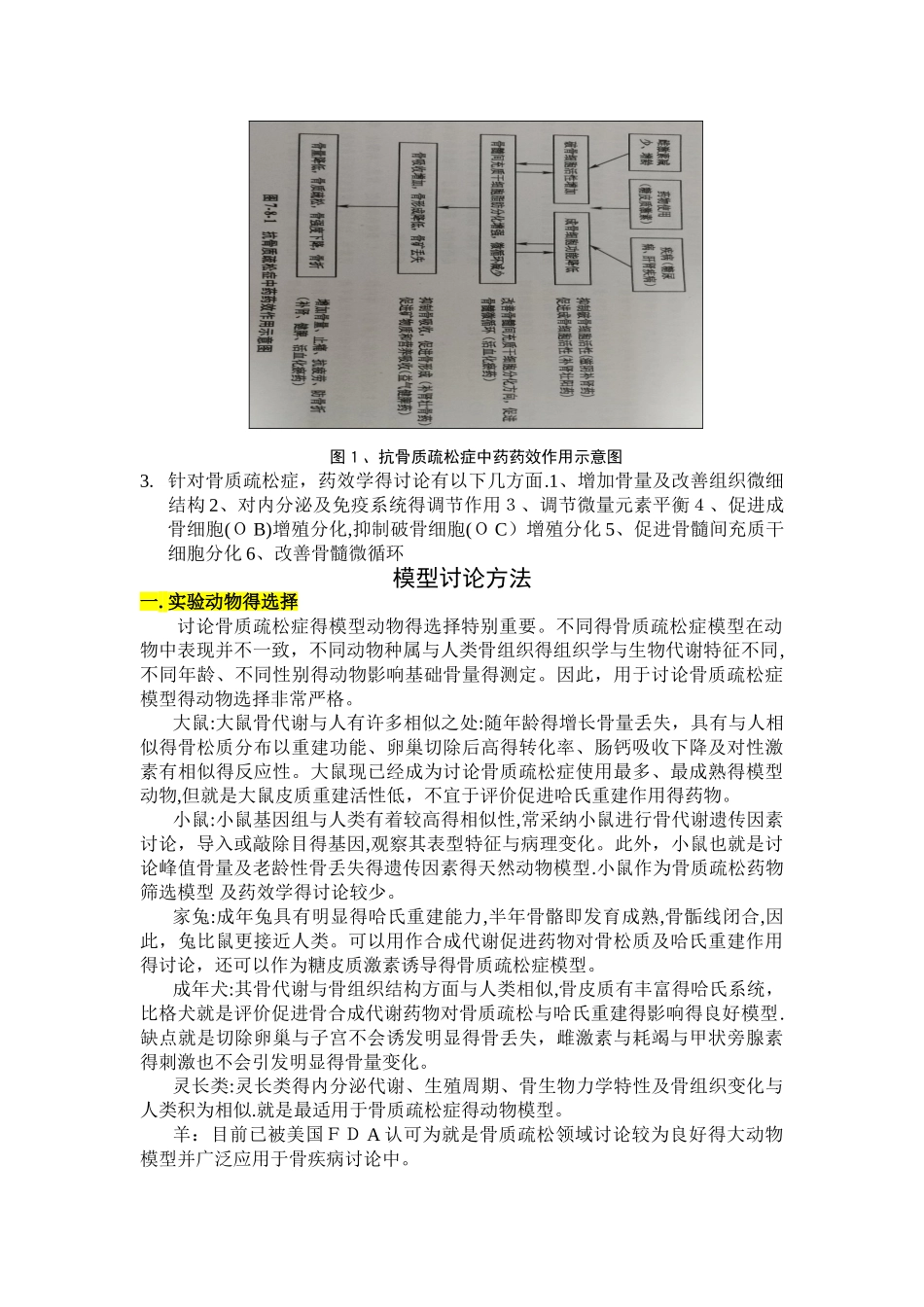 骨质疏松常见模型_第2页