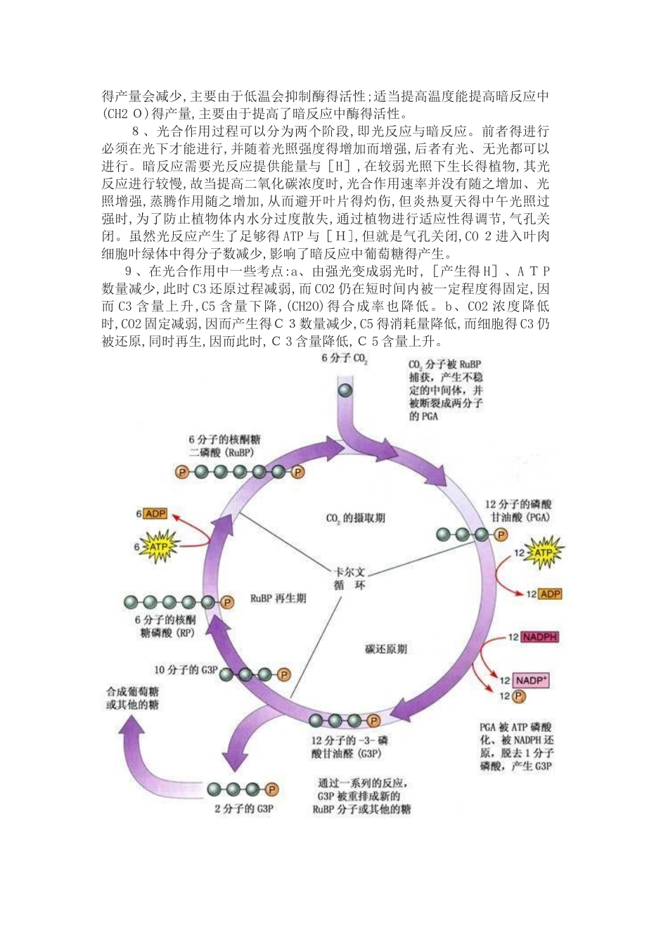 高中生物光合作用与呼吸作用_第2页