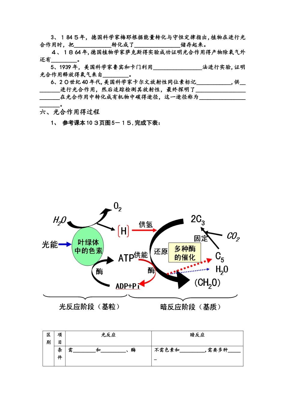 高中生物必修一5.4能量之源光与光合作用（学案）无答案_第3页