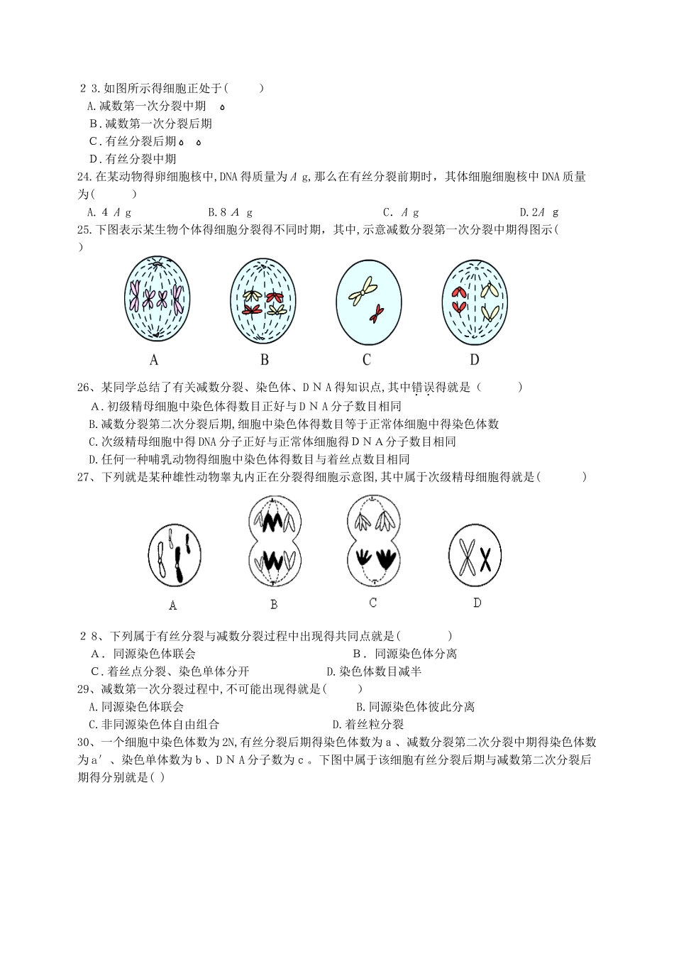 高中生物有丝分裂和减数分裂专题训练新人教版必修2_第3页
