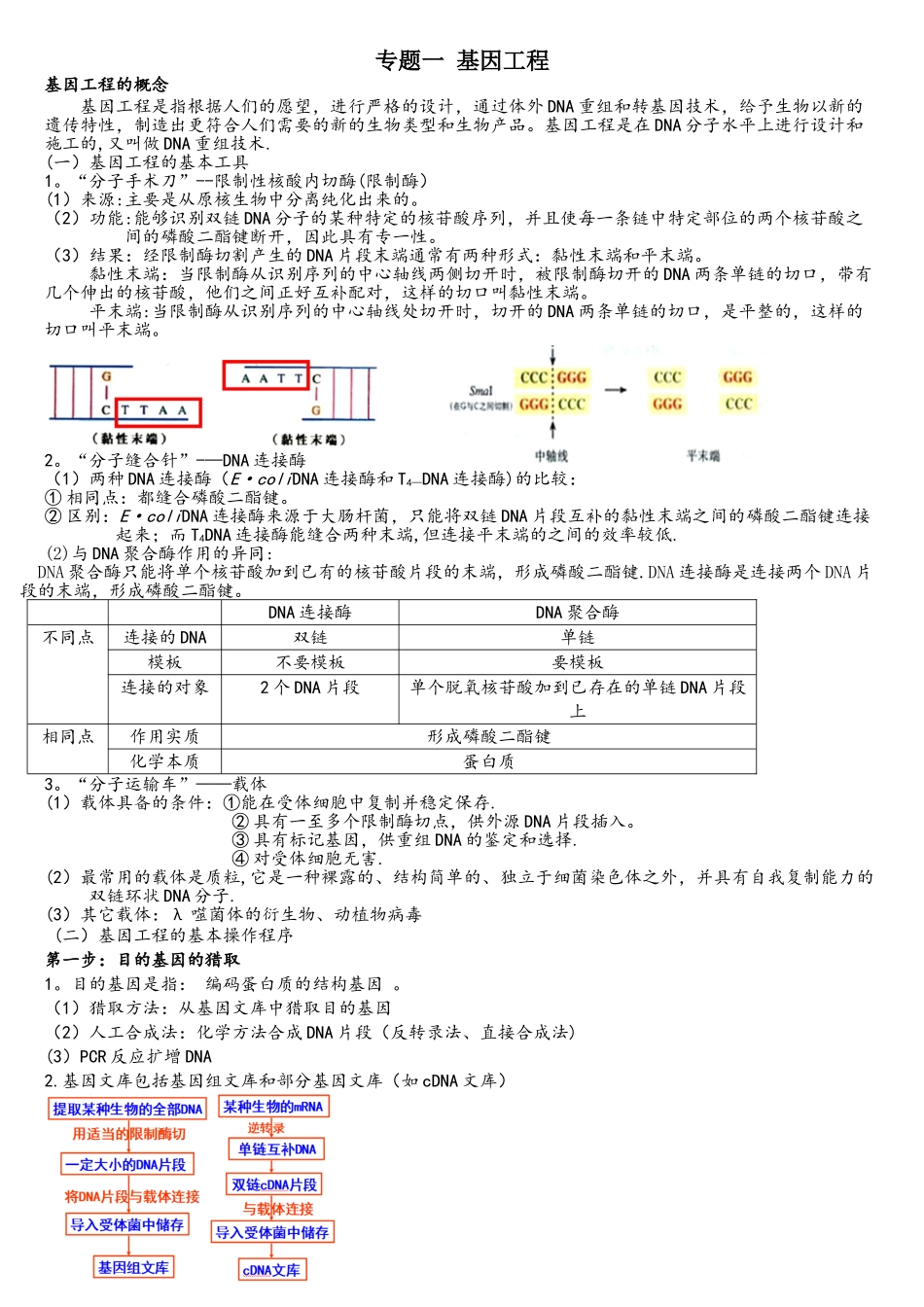 高中生物选修三专题一基因工程知识点_第1页