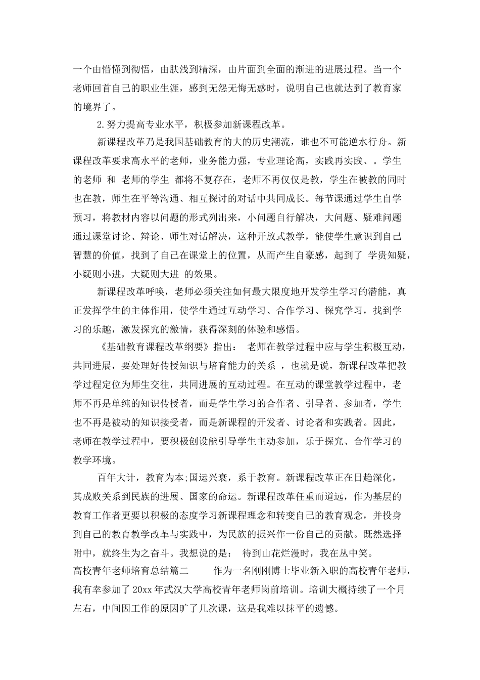高校青年教师培养总结_第2页