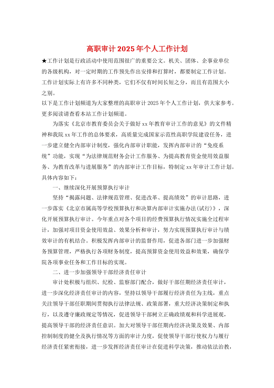 高职审计2025年个人工作计划_第1页