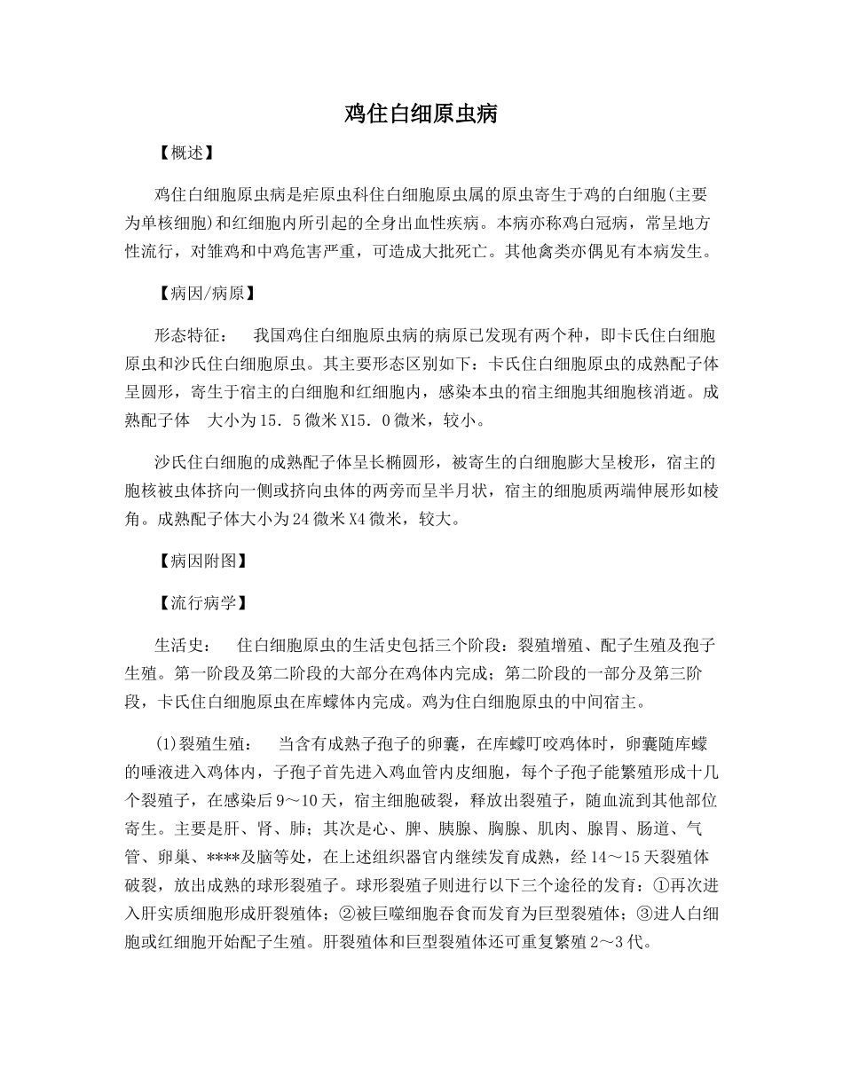 鸡住白细原虫病_第1页