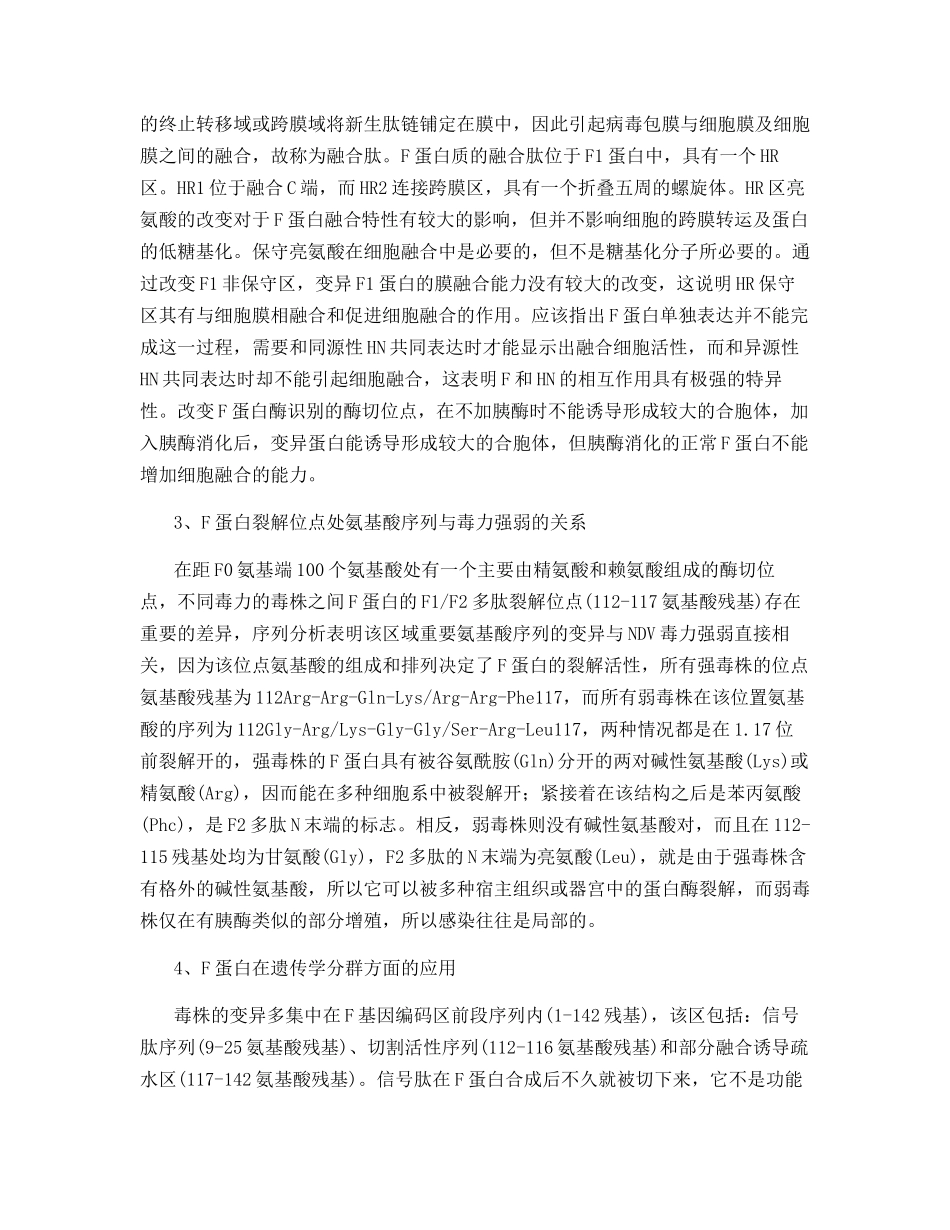 鸡新城疫病毒F蛋白的研究进展_第2页