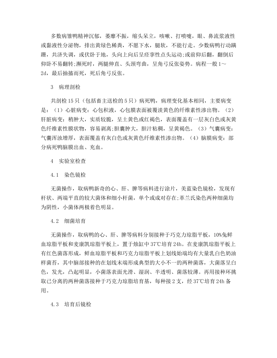 鸭传染性浆膜炎与大肠杆菌病混合感染的诊治_第2页