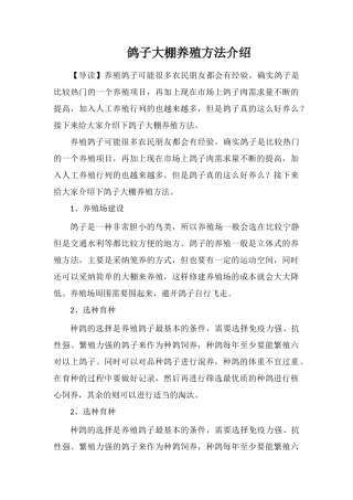 鸽子大棚养殖方法介绍