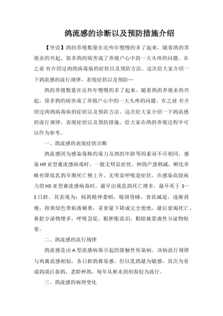 鸽流感的诊断以及预防措施介绍