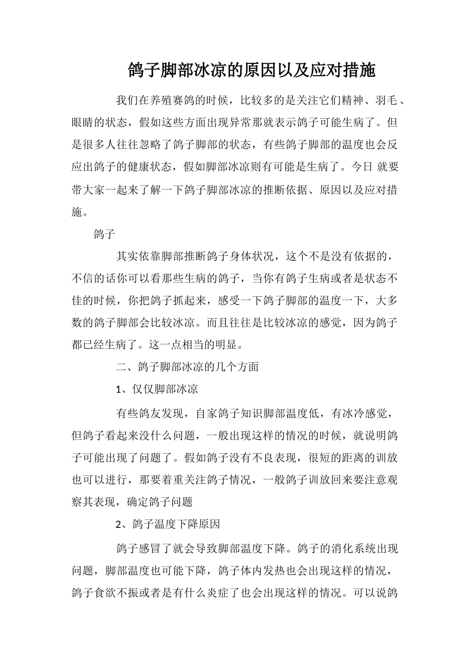 鸽子脚部冰凉的原因以及应对措施_第1页