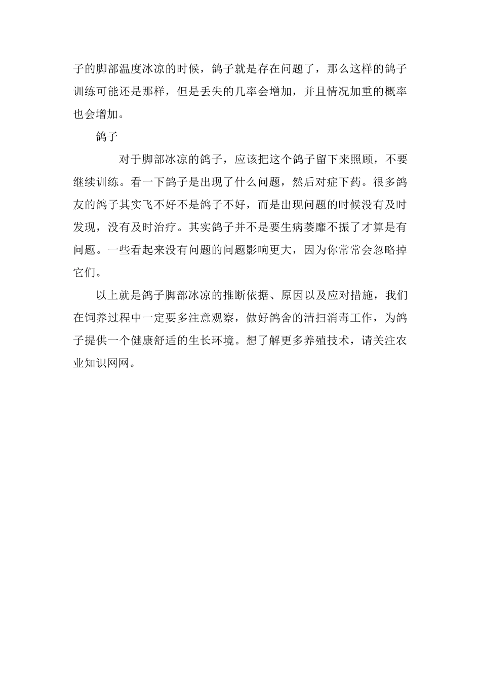 鸽子脚部冰凉的原因以及应对措施_第2页