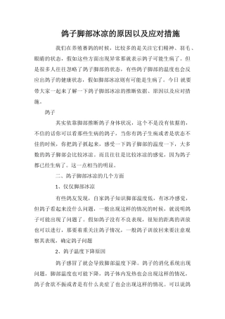 鸽子脚部冰凉的原因以及应对措施