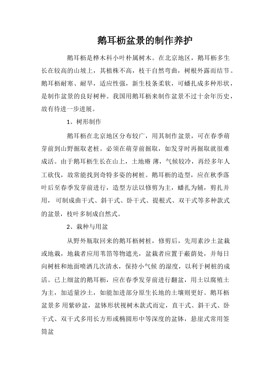 鹅耳枥盆景的制作养护_第1页