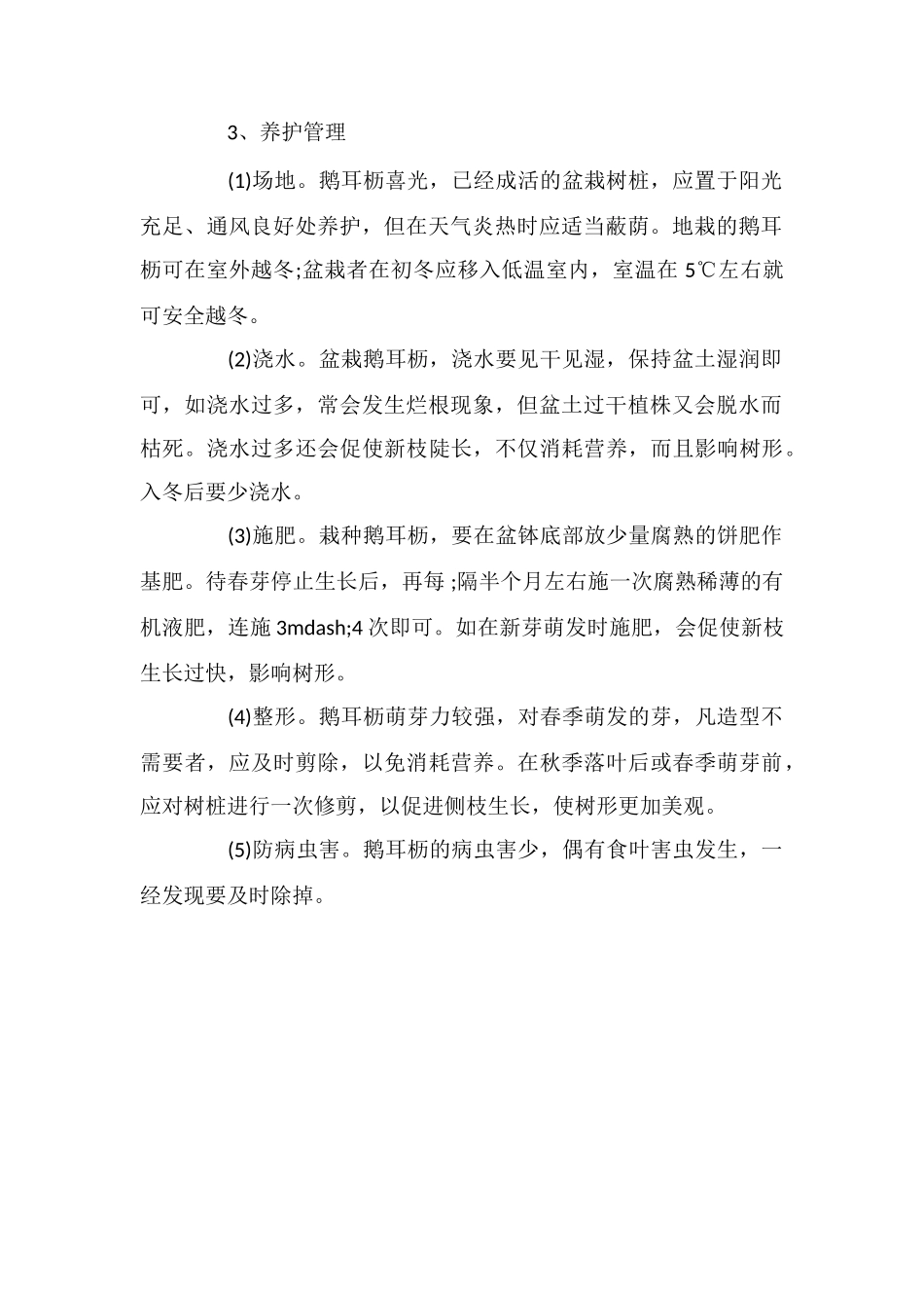 鹅耳枥盆景的制作养护_第2页