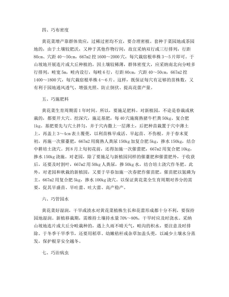 黄花菜栽培的几项关键措施_第2页