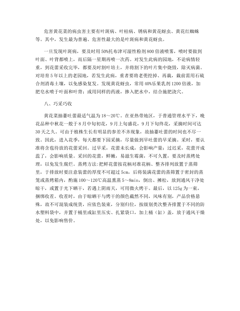 黄花菜栽培的几项关键措施_第3页