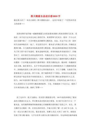 黑天鹅紫水晶读后感800字