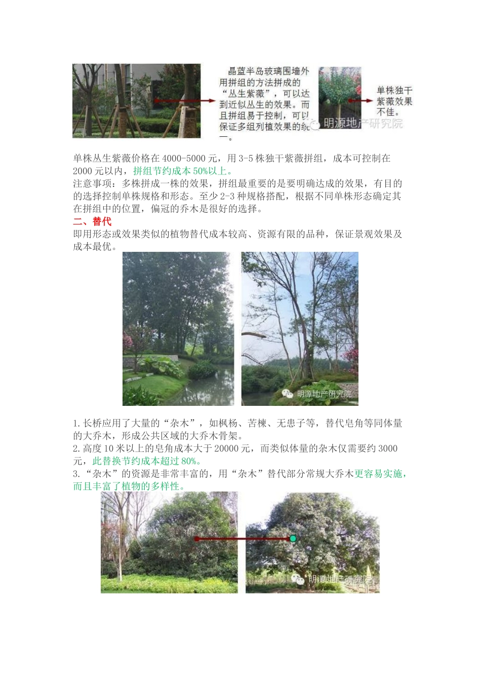 龙湖景观乔木的6个应用技巧_第2页