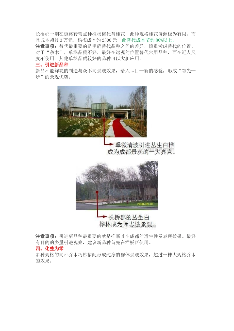 龙湖景观乔木的6个应用技巧_第3页