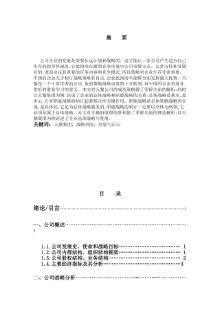 公司战略与风险管理分析研究  工商管理专业
