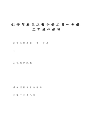 01安阳泰元运营手册之第一分册-工艺操作规程