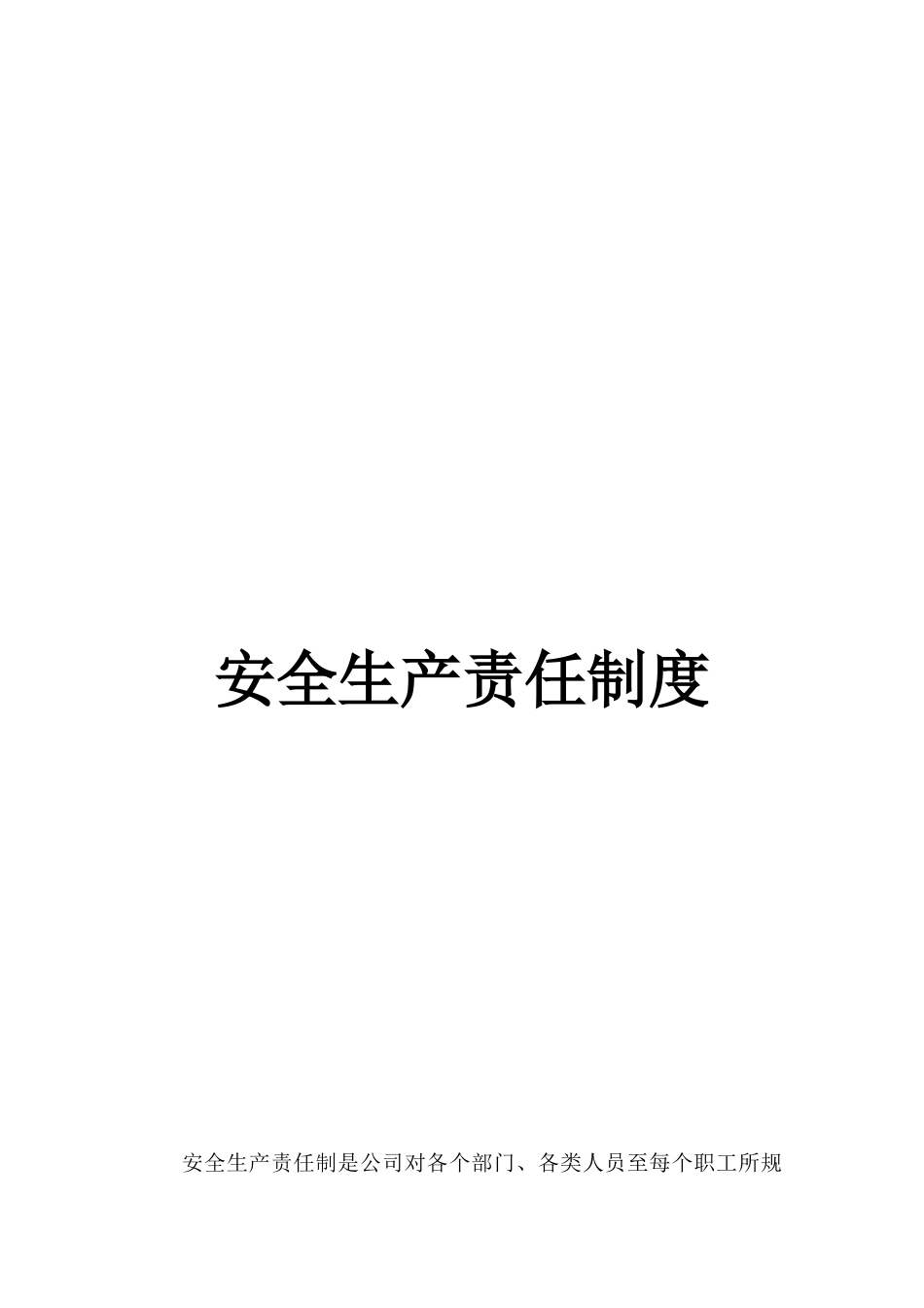 02-01安全生产责任制度_第1页