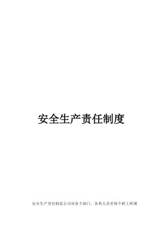 02-01安全生产责任制度