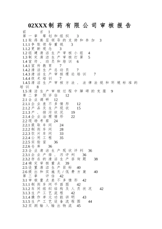 02XXX制药有限公司审核报告