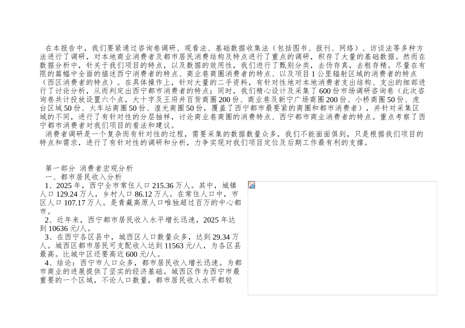 02消费者调研分析报告_第2页