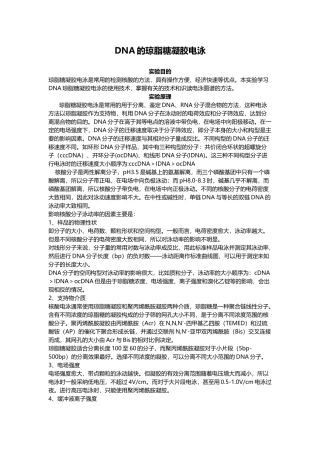 03-DNA的琼脂糖凝胶电泳