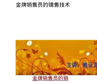 03比x迪汽车销售员的技巧及话术培训师