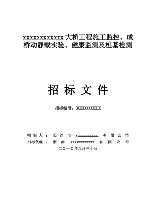 2010年大桥工程施工监控、监测及桩基检测招标文件