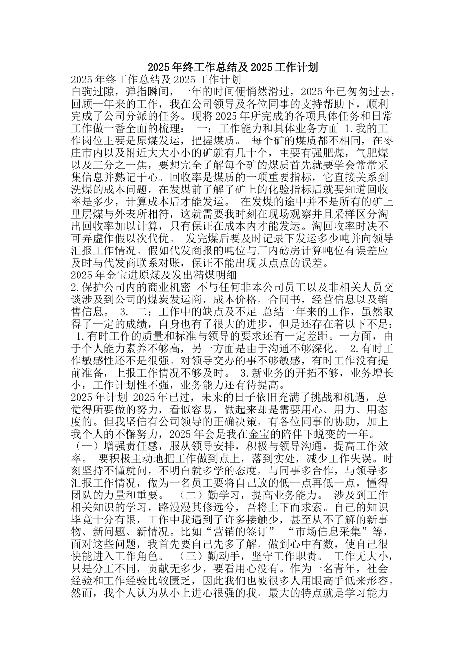 2010年终工作总结及2025工作计划_第1页