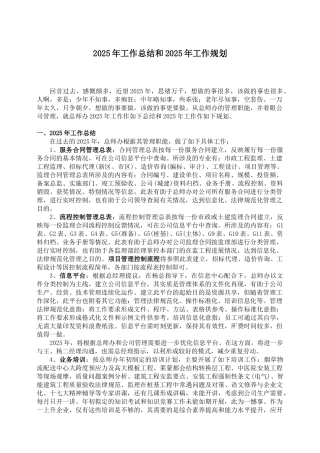 2025-2025年度招标代理工作总结和计划