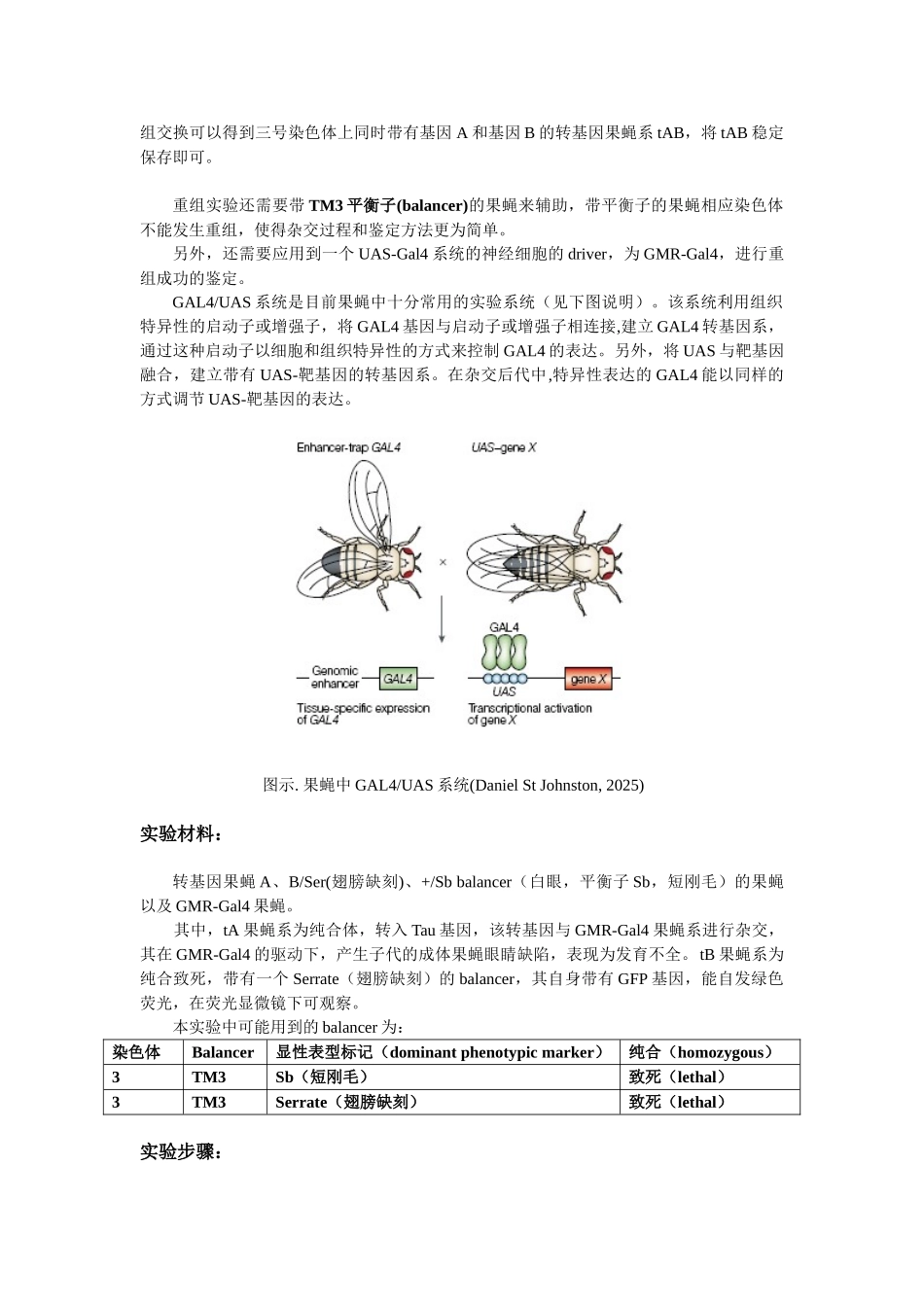 2025-转基因果蝇的杂交重组和鉴定-实验指导_第2页