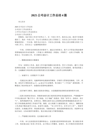 2025公司会计工作总结4篇