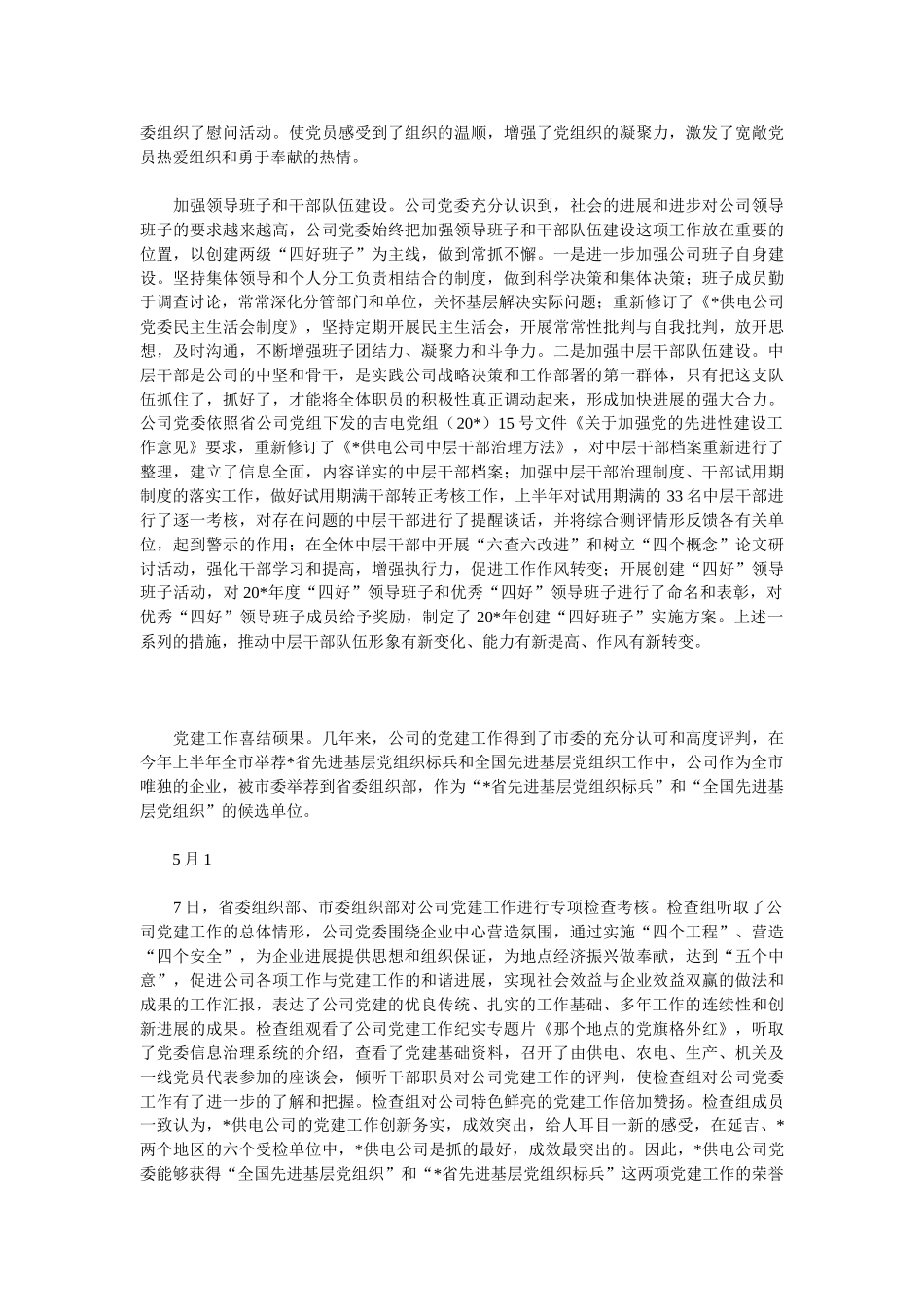 2025公司党委工作总结3篇_第2页