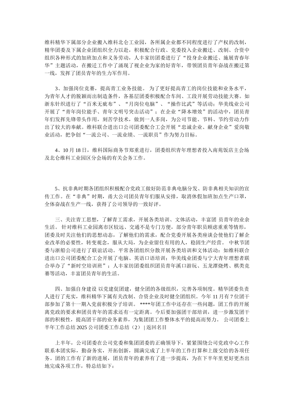 2025公司团委工作总结4篇_第2页