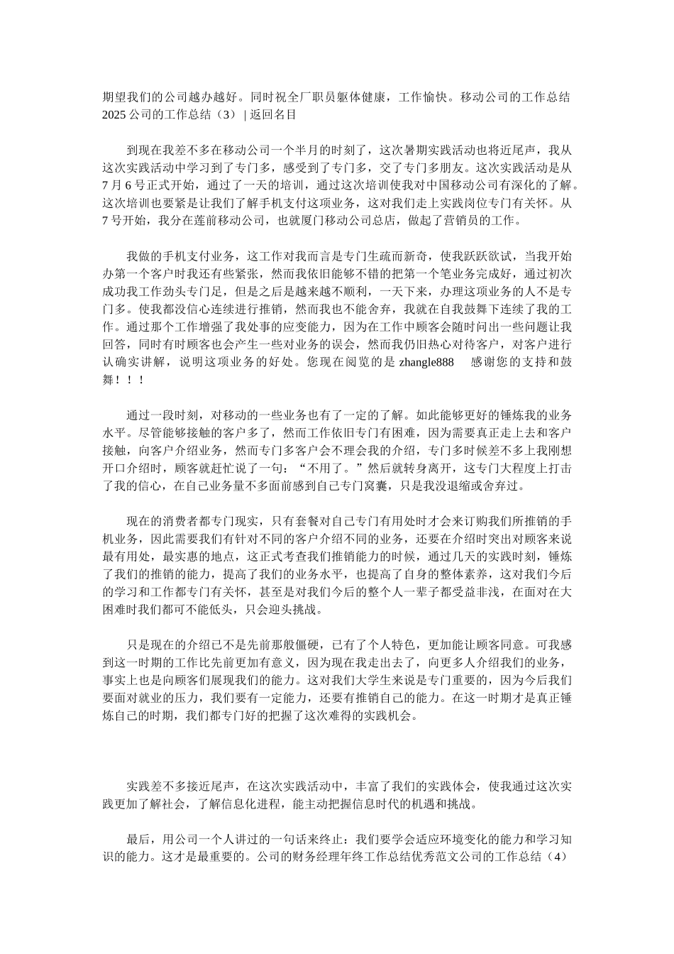 2025公司的工作总结3篇_第3页