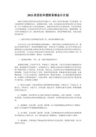2025农信社年度财务部会计计划