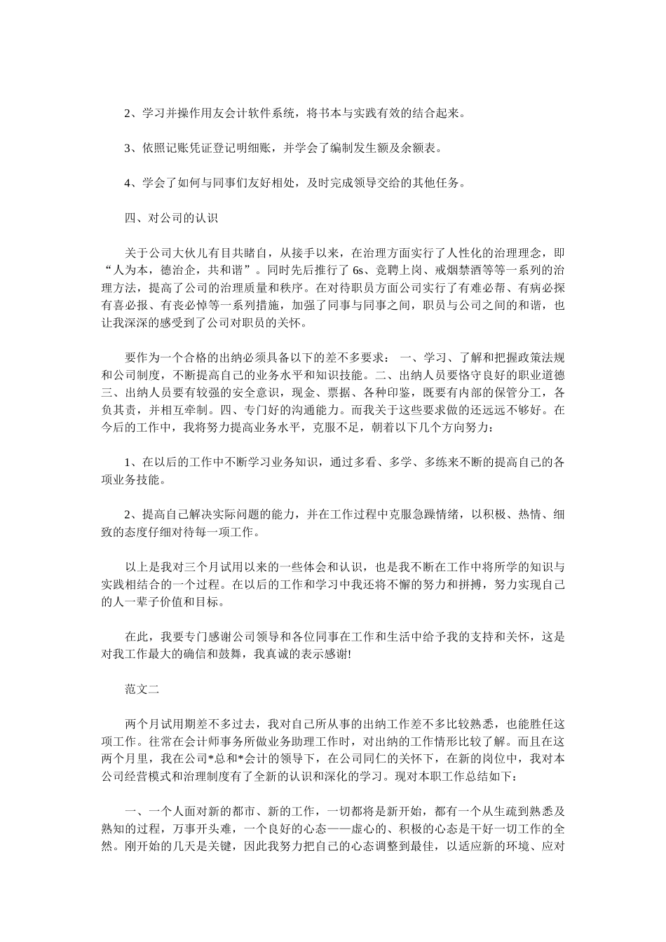 2025出纳试用期工作总结4篇_第3页