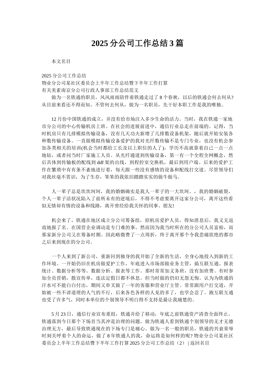 2025分公司工作总结3篇_第1页