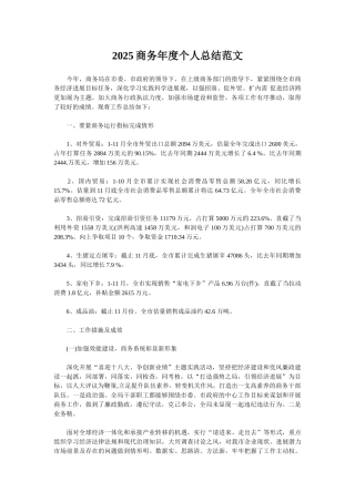 2025商务年度个人总结范文