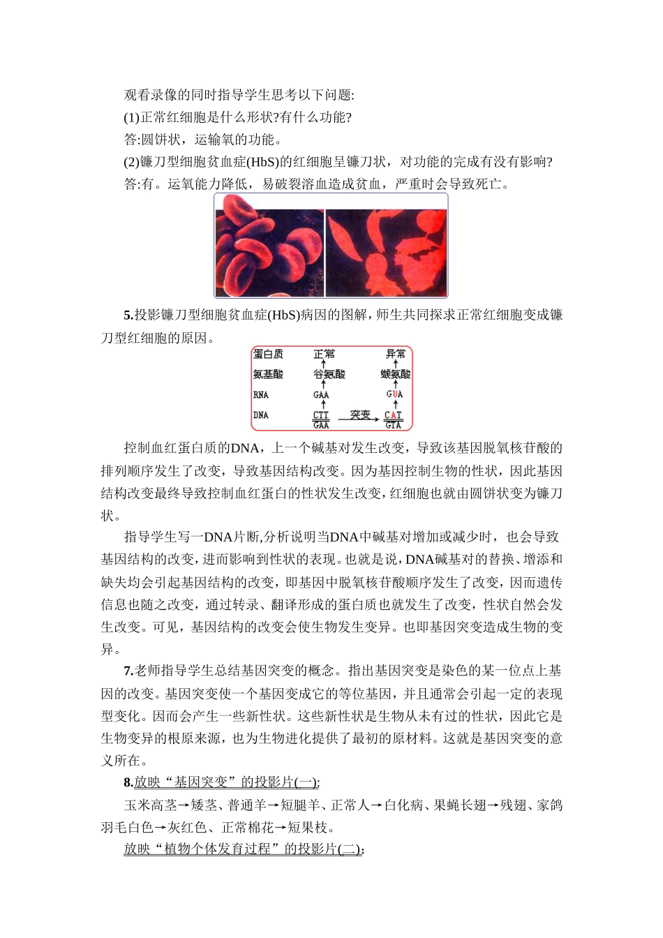 2025届高一生物下学期教案：第五章第一节-基因突变与基因重组1-必修二_第3页