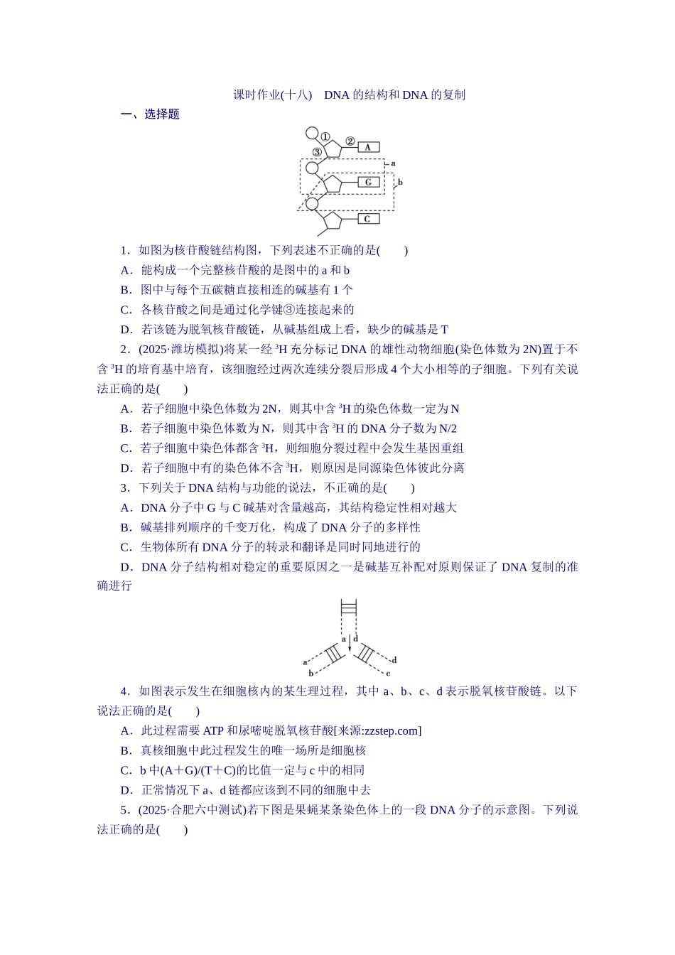 2025届高三生物一轮复习测试题课时作业：18DNA的结构和DNA的复制_第1页