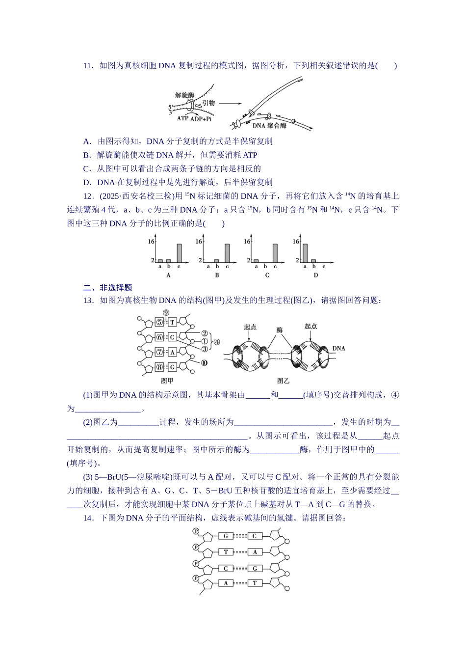 2025届高三生物一轮复习测试题课时作业：18DNA的结构和DNA的复制_第3页