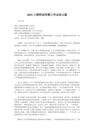 2025工程师试用期工作总结4篇